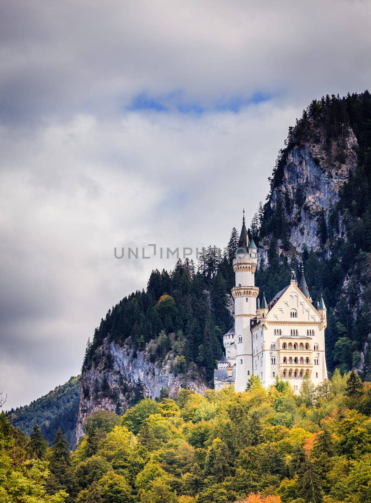View of the Neuschwanstein Castle in Bavaria