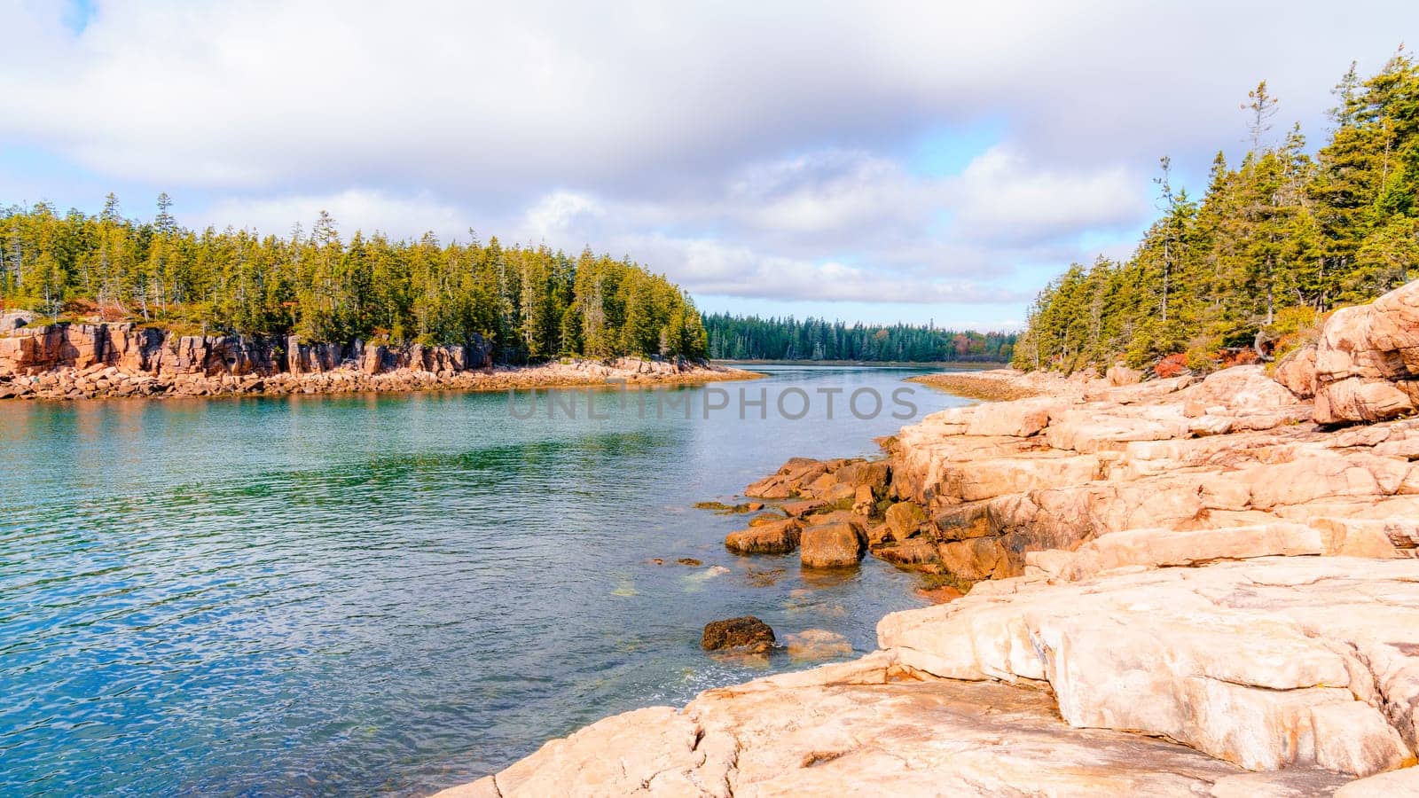 Rocky coastline in Acadia National Park in Maine