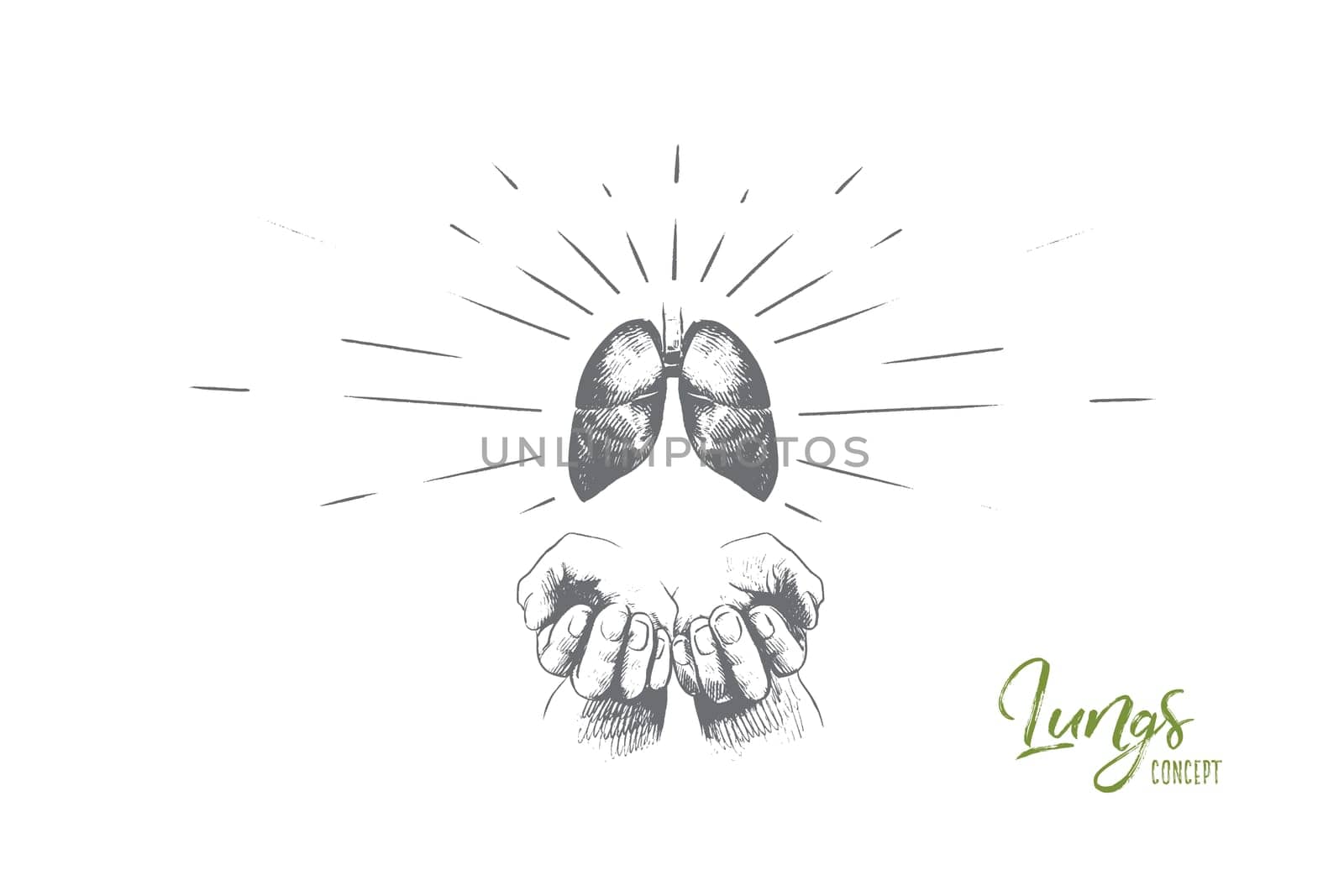 Lungs concept. Hand drawn human lungs in hands. Concept of World Tuberculosis Day isolated vector illustration.
