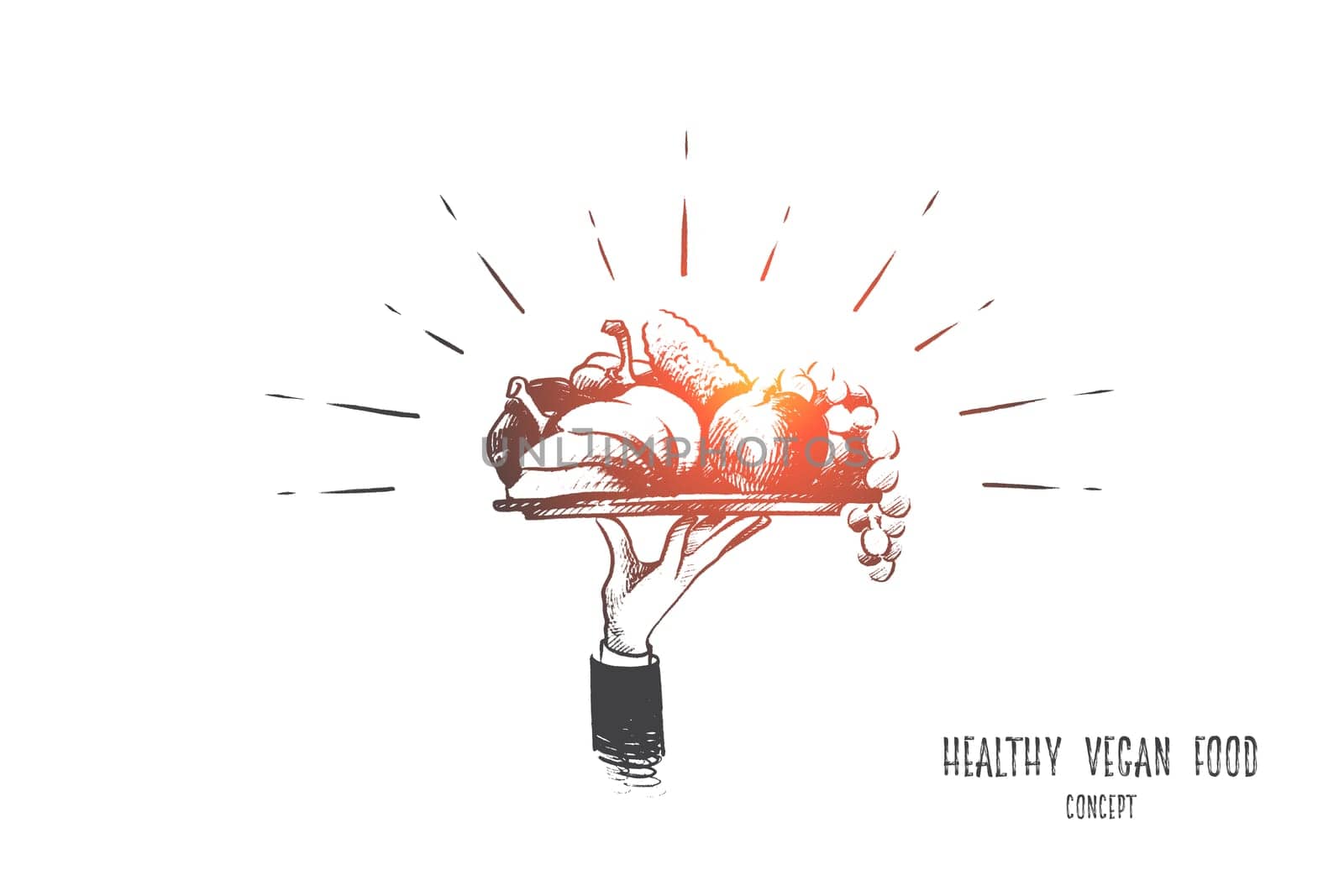 Healthy vegan food concept. Hand drawn plate with tasty and healthy meal. Fruits, vegetables and nuts isolated vector illustration.