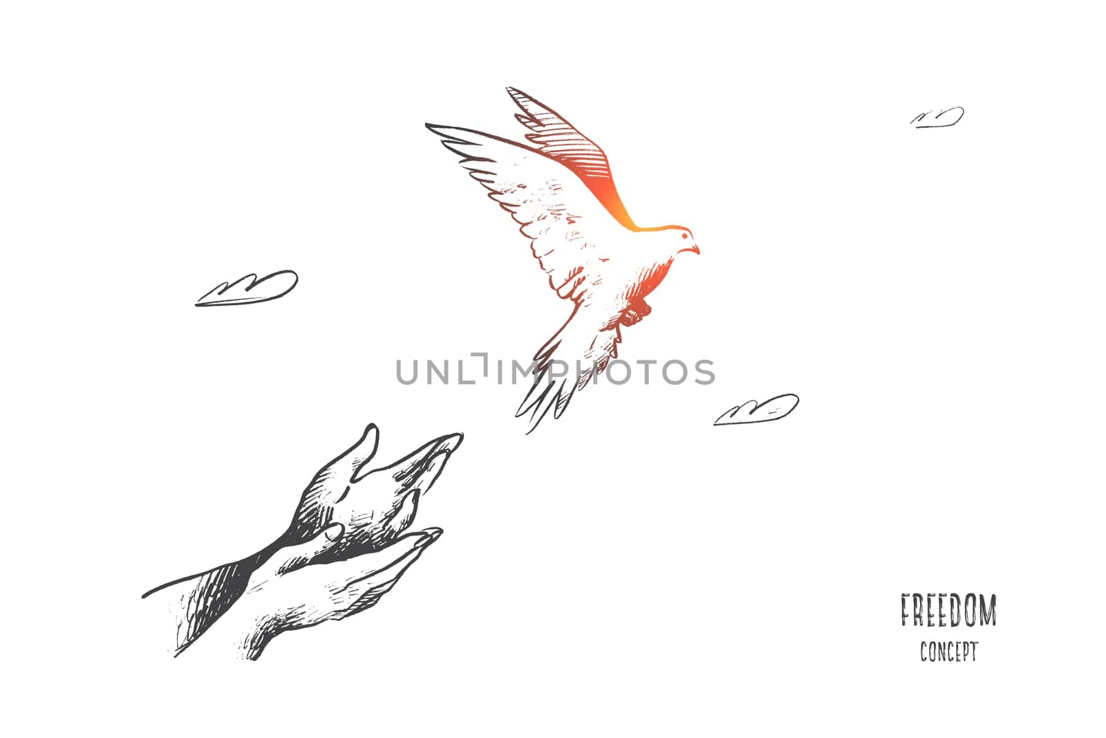 Freedom concept. Hand drawn pigeon flying out of two hands. Freedom of life, free bird enjoying nature isolated vector illustration.