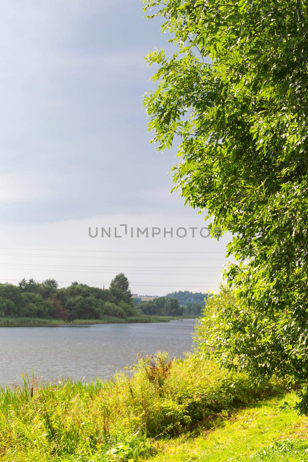 Landscape with a small river, forest in summer day. Rivers of Belarus.