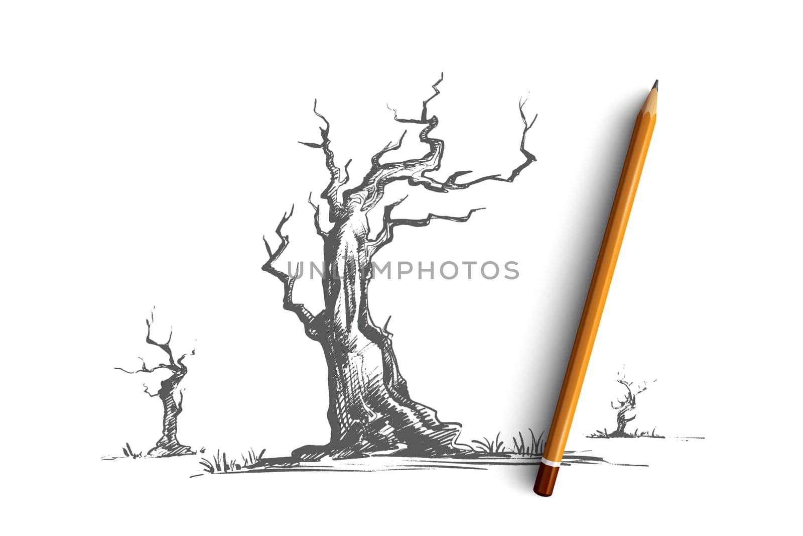 Dead trees concept. Hand drawn dry tree without leaves, old wood, ecology disaster isolated vector illustration.