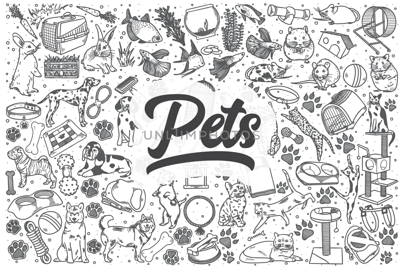 Hand drawn pets vector doodle set. by Vasilyeva