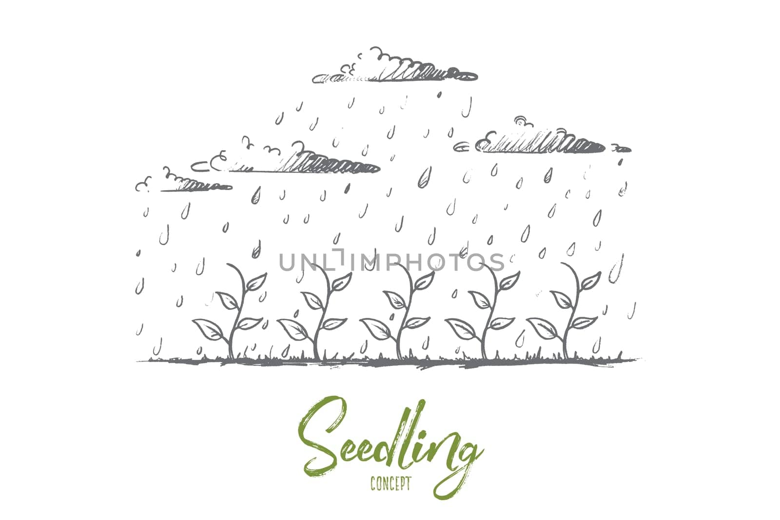 Seedling concept. Hand drawn young plant watered by rain. Seedling growth isolated vector illustration.