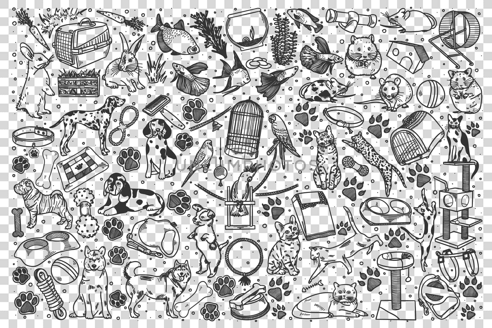 Pets doodle set by Vasilyeva