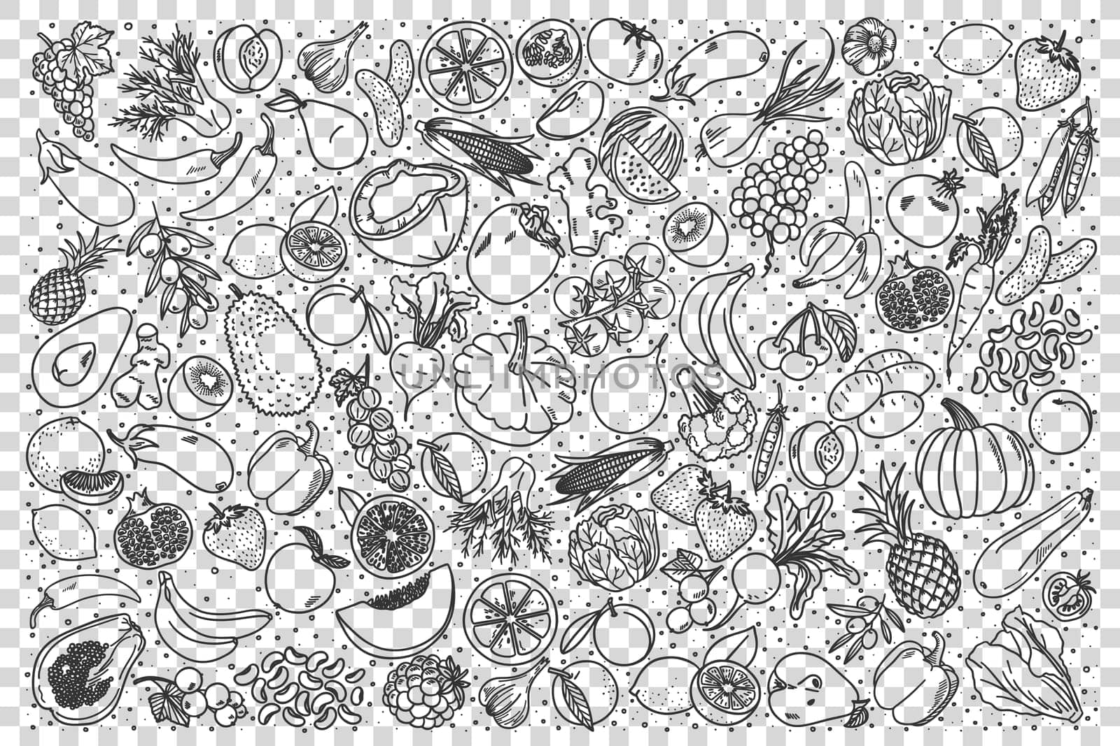 Vegan doodle set. Collection of hand drawn sketches templates patterns of vegans dieting meal natural vegetarian nutrition smoothie cocktail cereals vegetables fruits. Healthy lifestyle illustration.