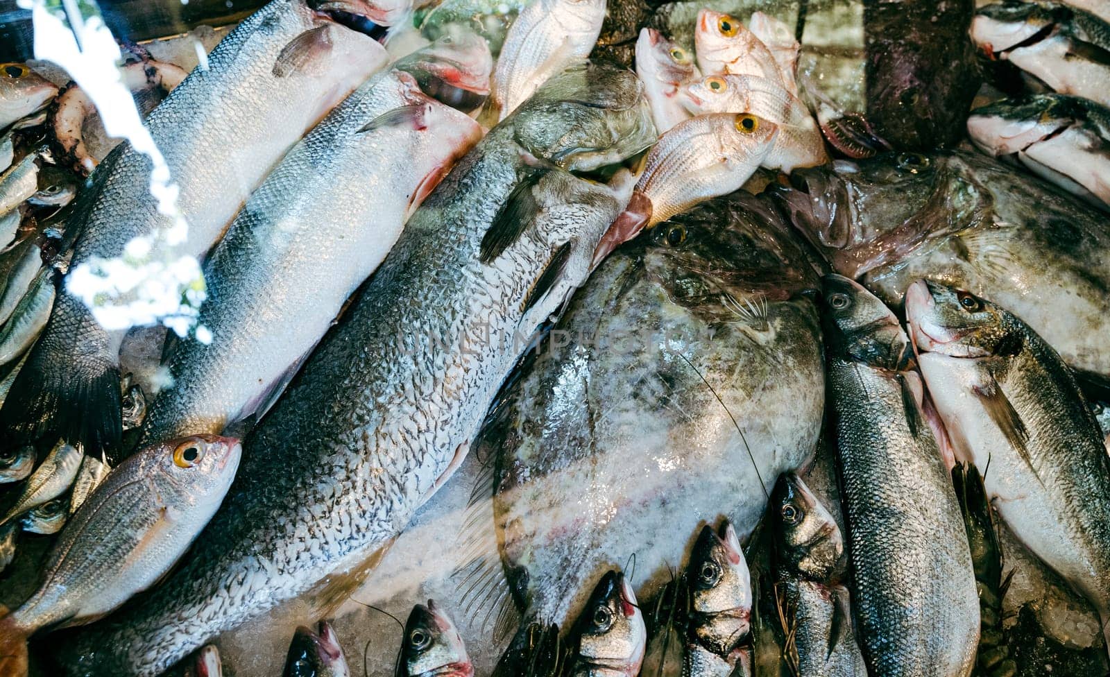 top view closeup of fresh fish seafood of different varieties arranged in market shop window