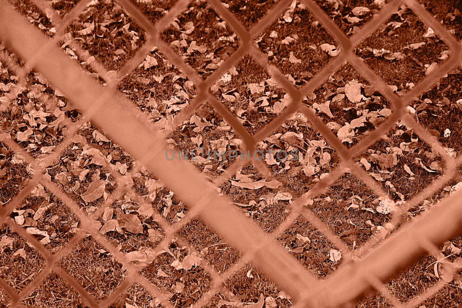 green meadow behind a fence with fallen autumnal colored leaves