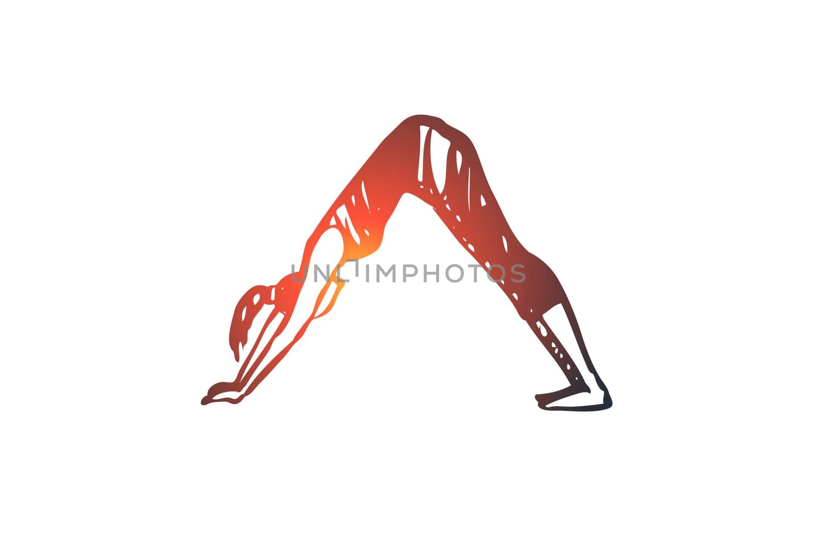 Arch, yoga, exercise, pose, healthy concept. Hand drawn woman in pose arch, yoga exercise concept sketch. Isolated vector illustration.