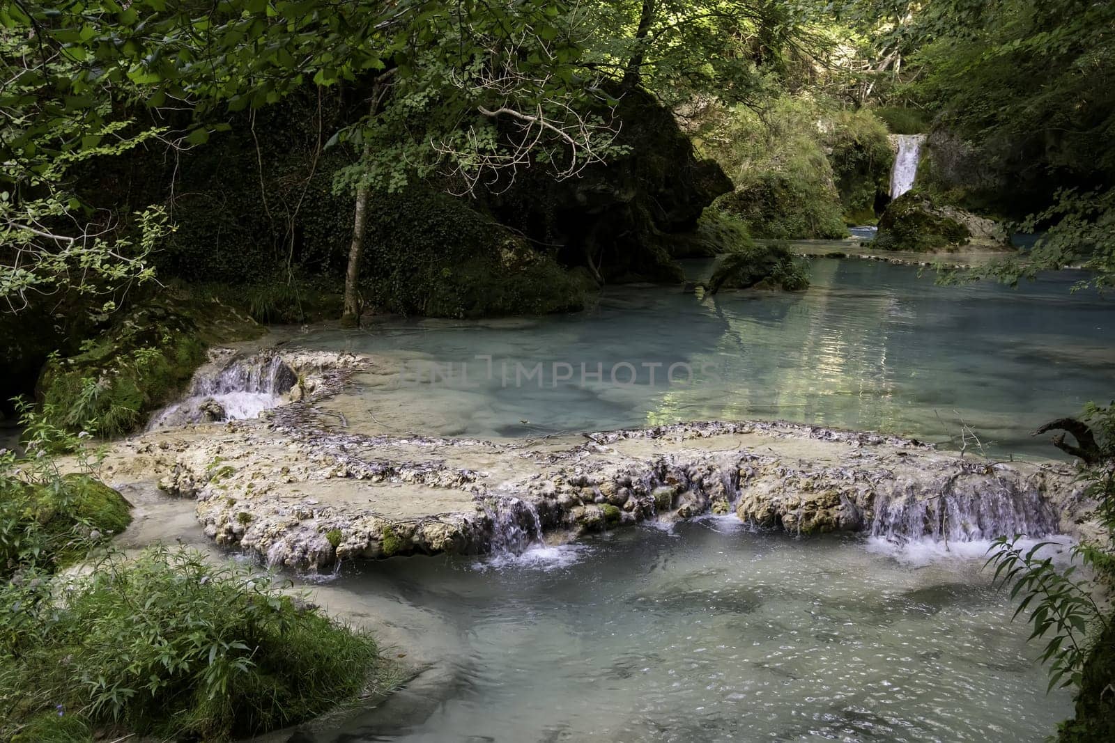 Detail of crystal clear spring water in a wild forest, nature