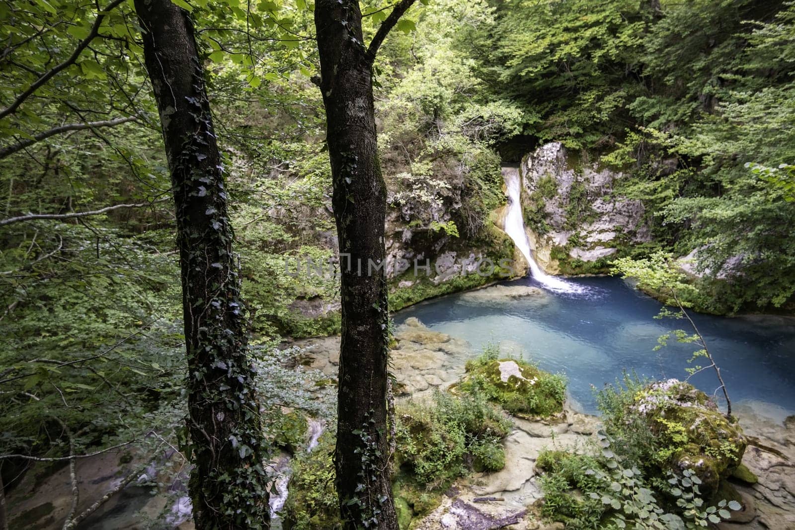 Detail of a waterfall in an ancient forest, nature