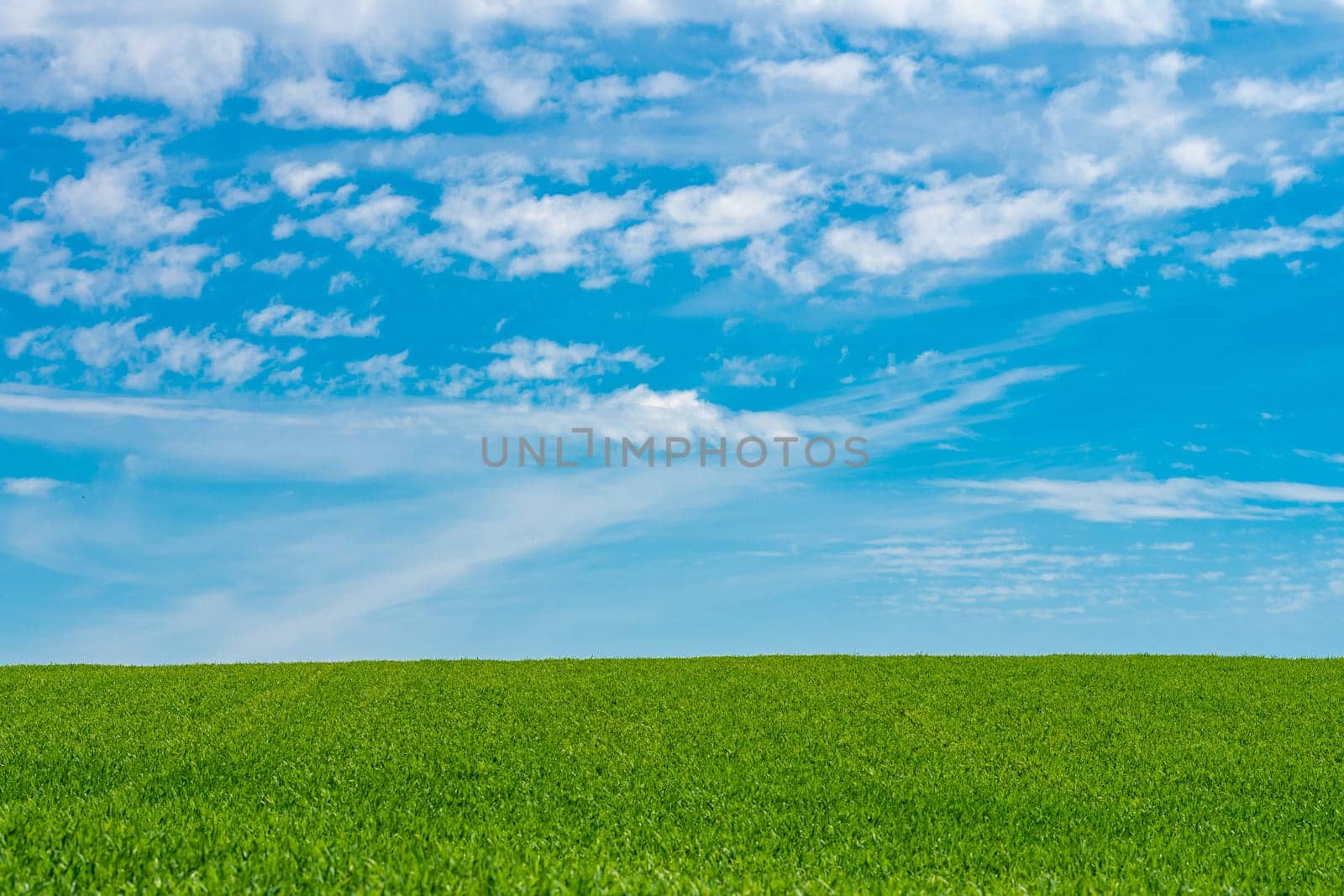 Green meadows with blue sky and clouds background