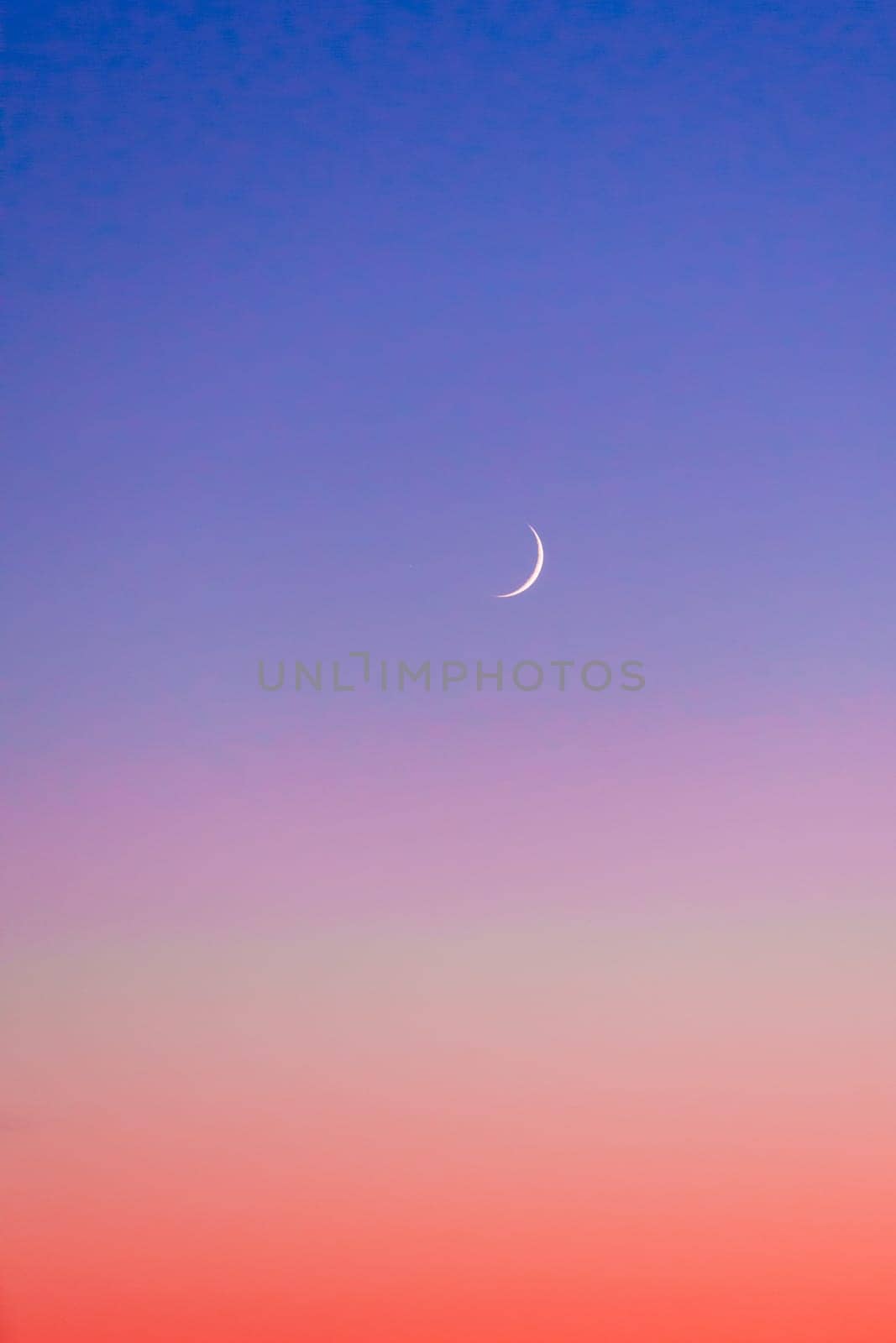 Crescent at the sunset sky. Sunset colors and new moon.