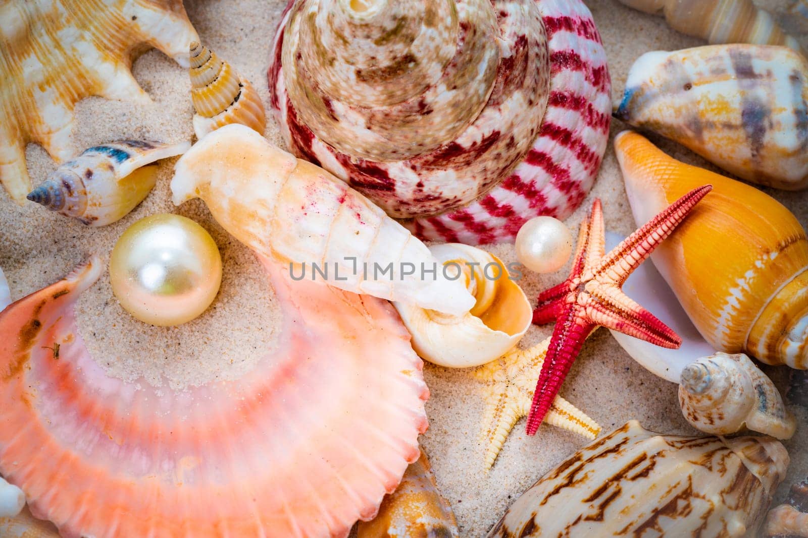 Sea pearl in shells. Beach Summer Vacation Background