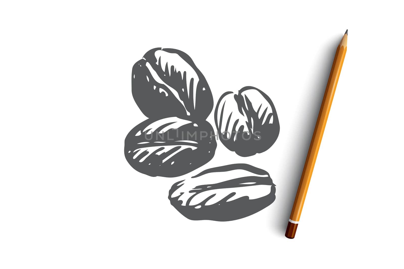 Coffee, drink, beverage, beans, roasted concept. Hand drawn roasted and fragrant coffee beans concept sketch. Isolated vector illustration.