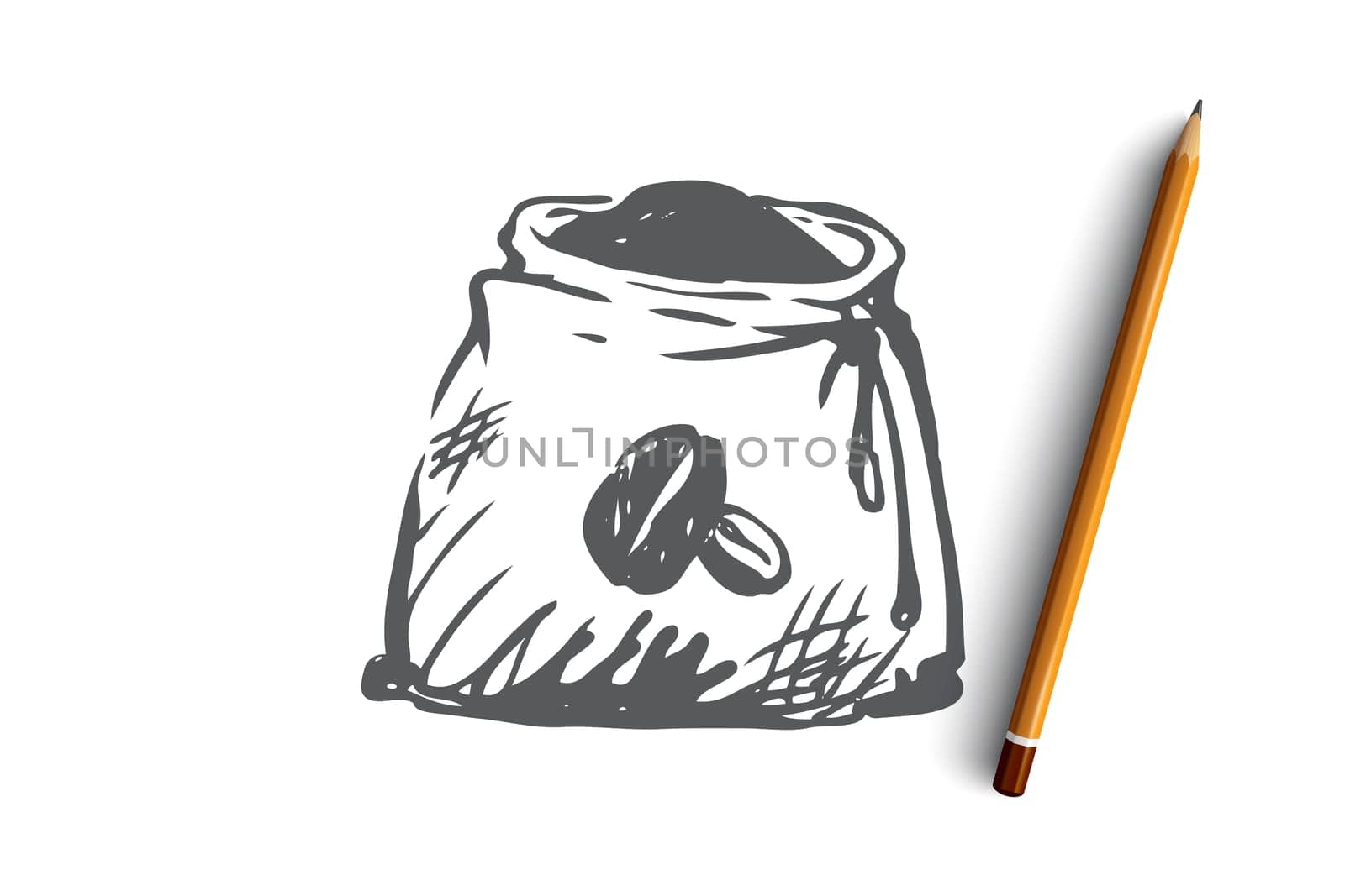 Coffee, beans, sack, roasted, seed concept. Hand drawn roasted coffee beans in sack concept sketch. Isolated vector illustration.