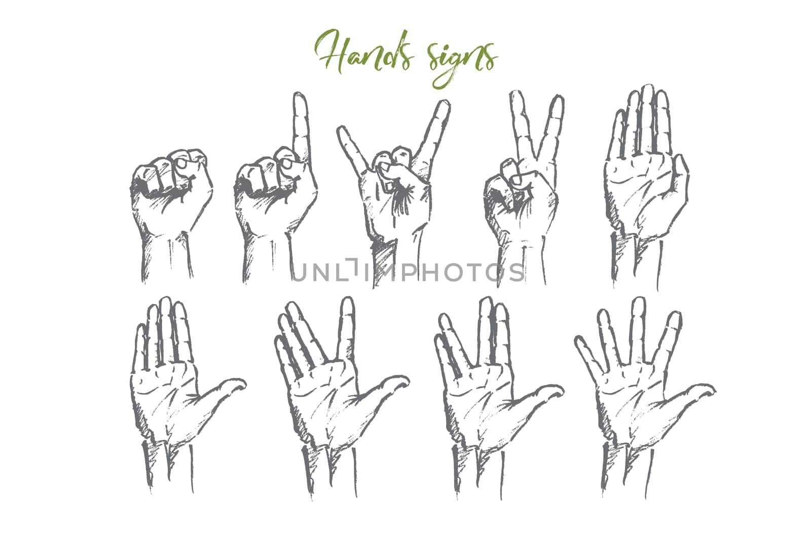 Vector hand drawn Hand signs concept sketch. Set of human palms with different gestures meaning different signs. Lettering Hands signs