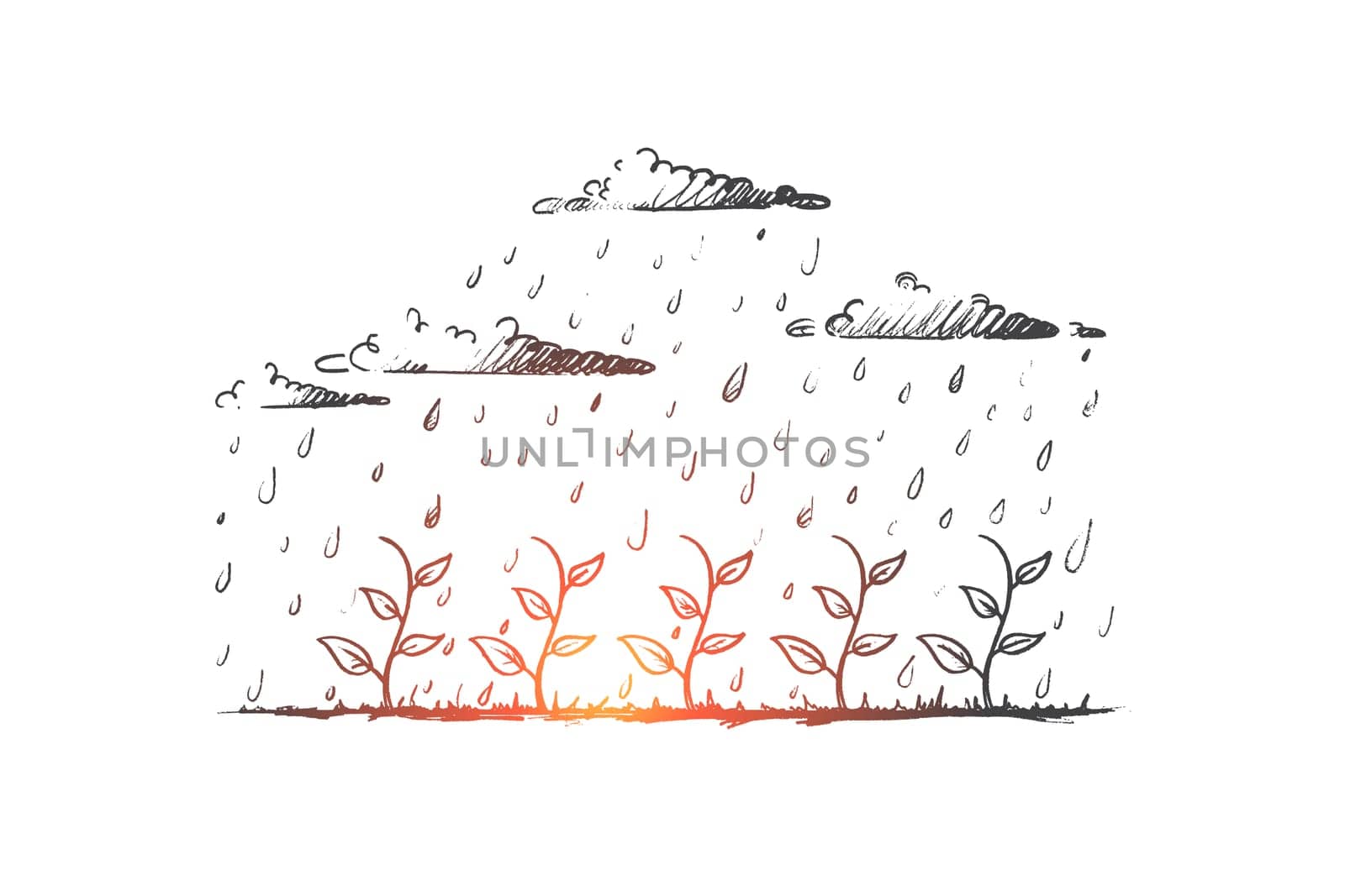 Seedling concept. Hand drawn young plant watered by rain. Seedling growth isolated vector illustration.