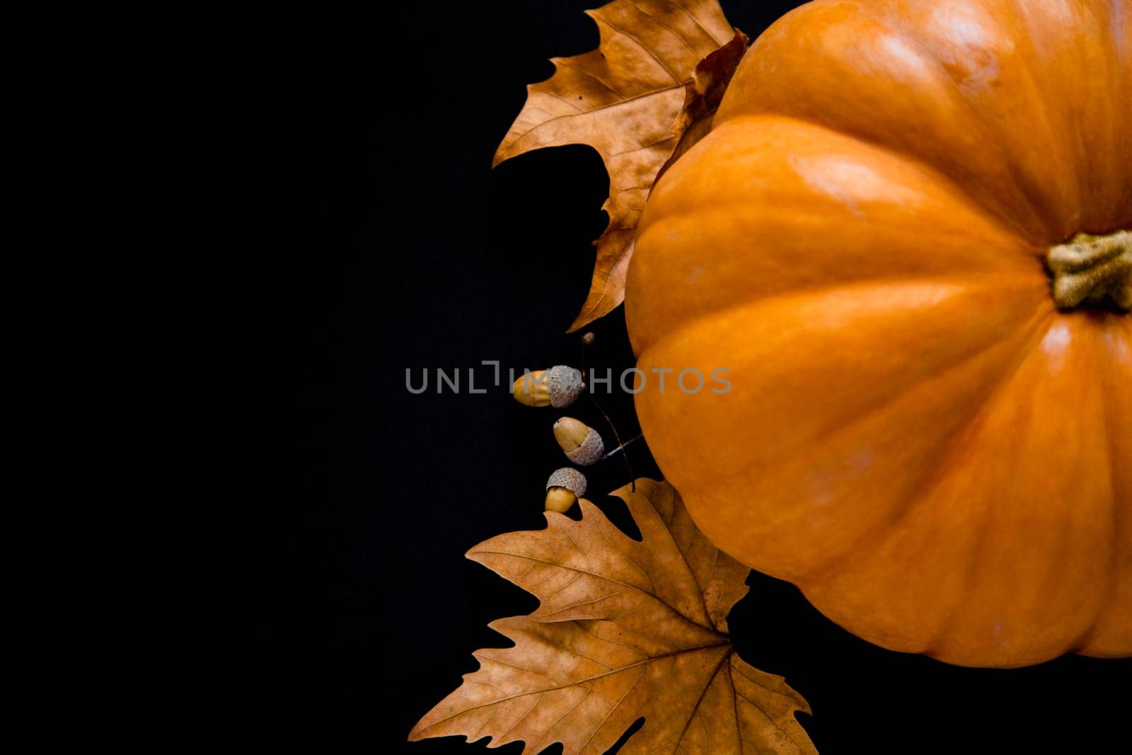 An orange pumpkin with leaves and acorns lies on a black background. High quality photo