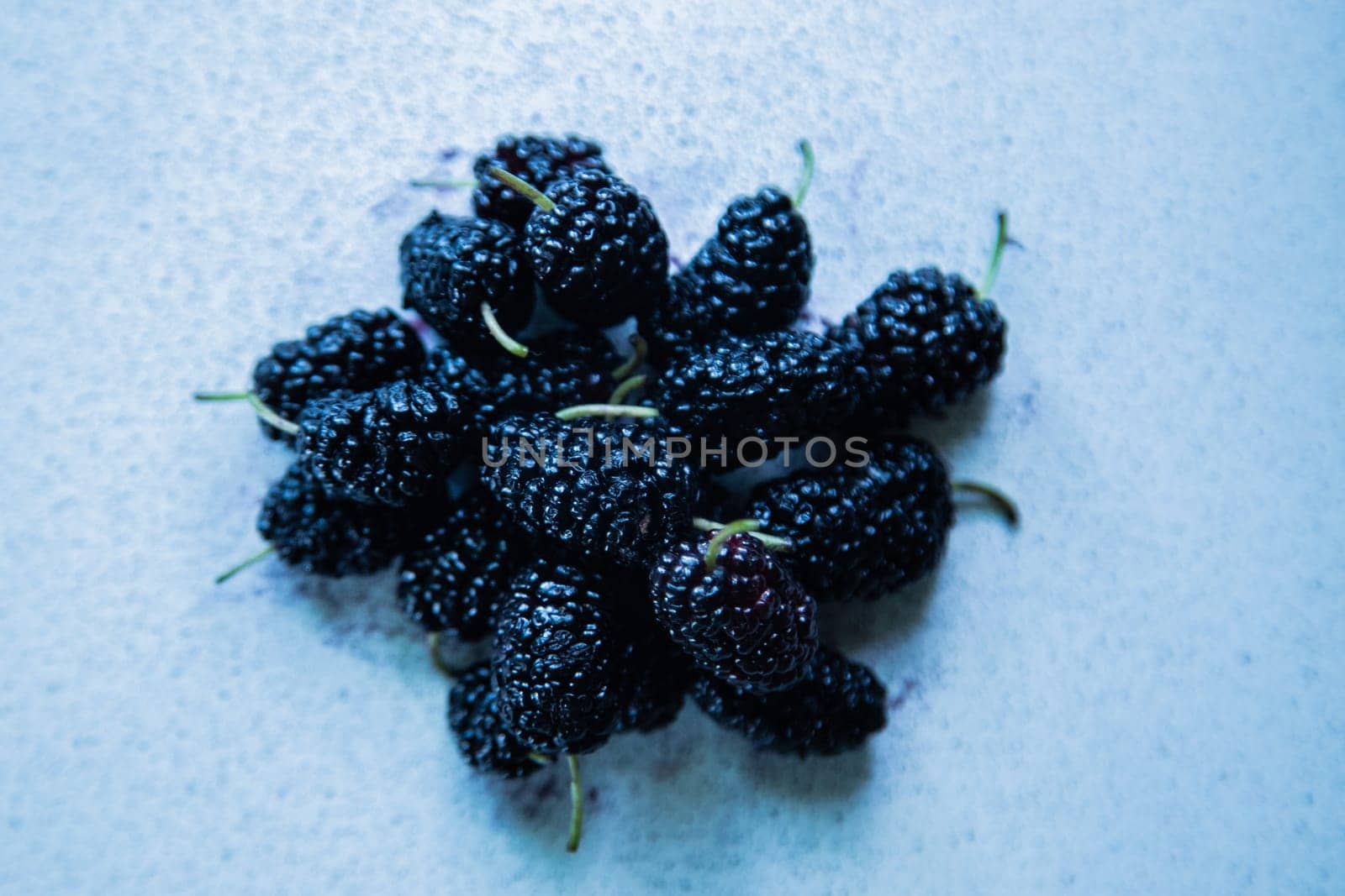 Mulberries or berries of the mulberry tree on a light surface. High quality photo