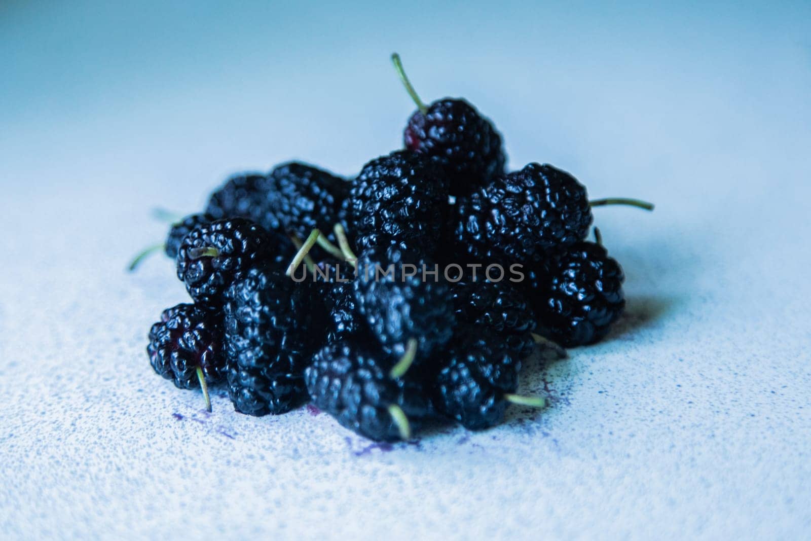 Mulberries or berries of the mulberry tree on a light surface. High quality photo