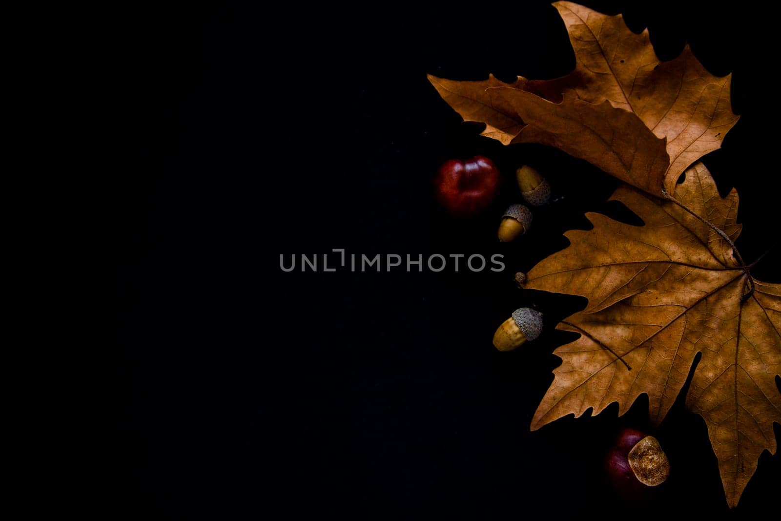 Autumn leaves, chestnuts and acorns lie on a black background. . High quality photo