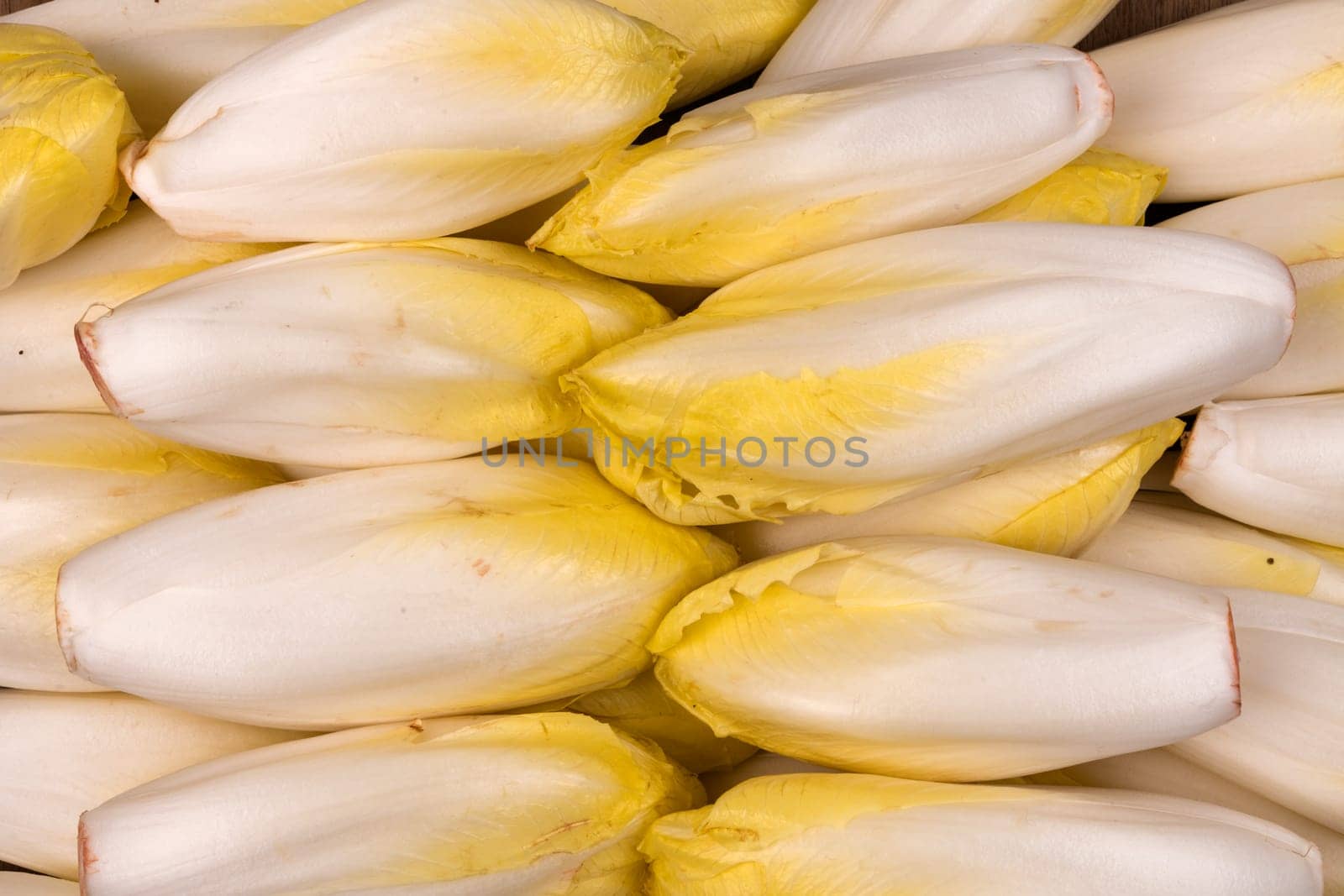 Fresh endives as a background green food