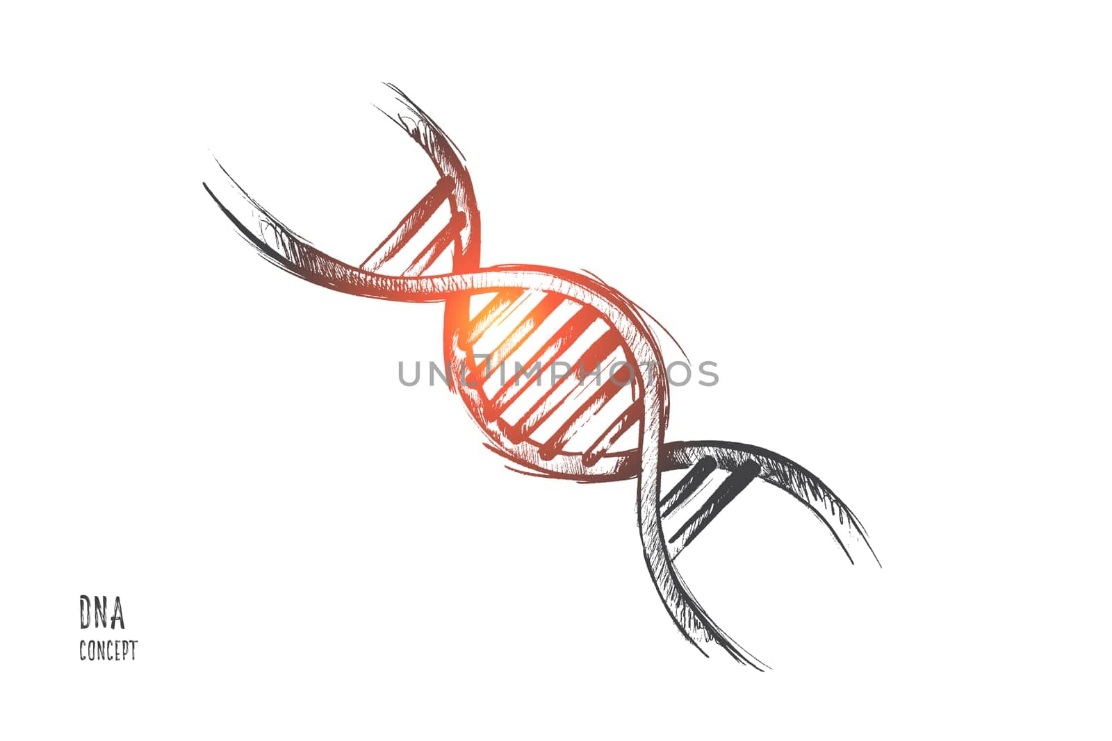 Global warming concept. Hand drawn illustration of DNA molecule structure. Genetic and chemistry research isolated vector illustration.