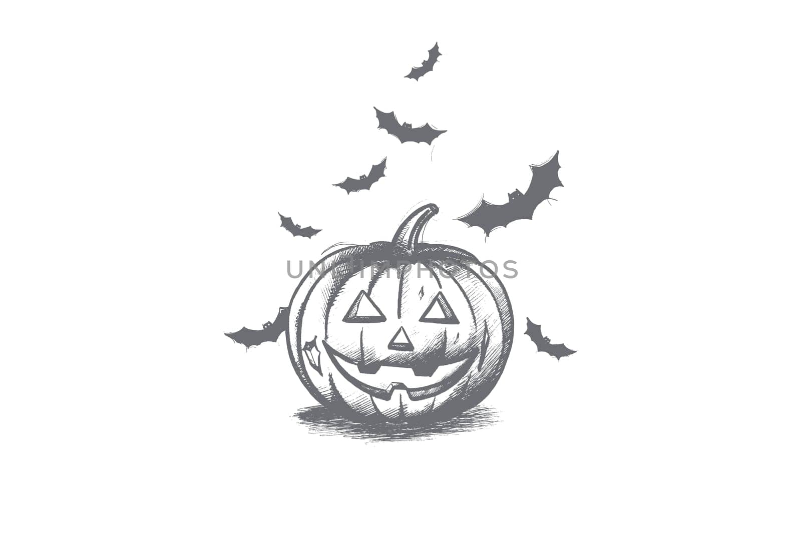 Pumpkin concept. Hand drawn decorated pumpkin as symbol of Halloween. Preparation for autumn holidays isolated vector illustration.