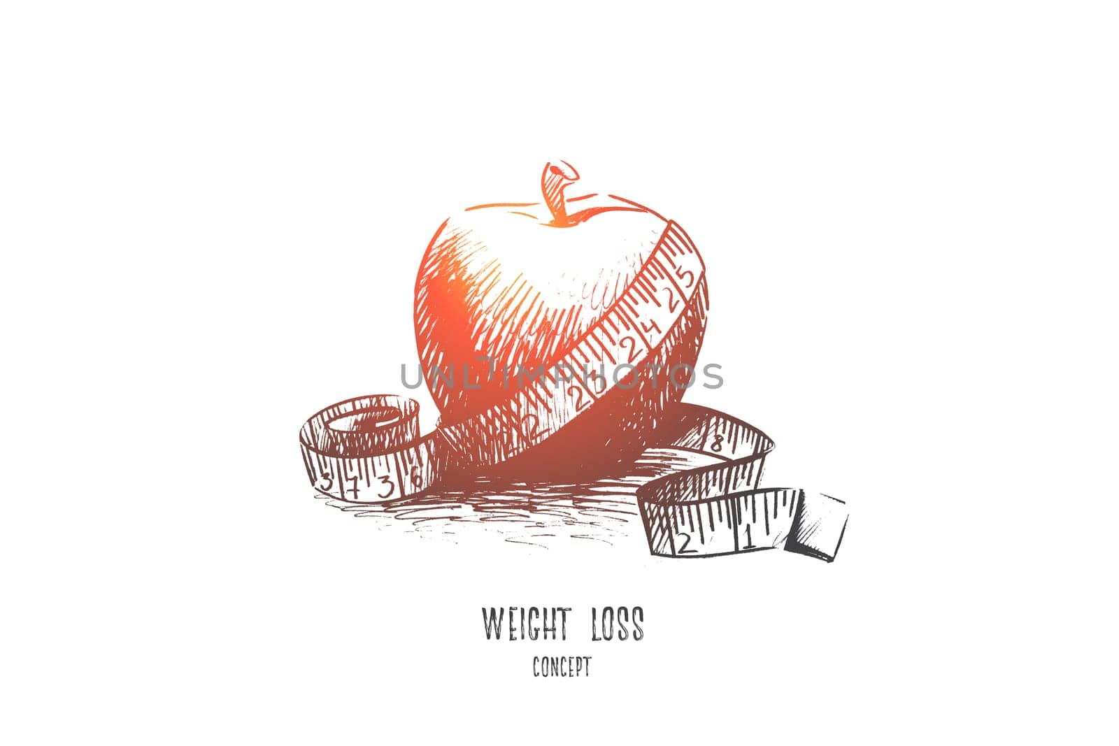Weight loss concept. Hand drawn apple with measuring tape. Fruit as healthy food and symbol of diet isolated vector illustration.