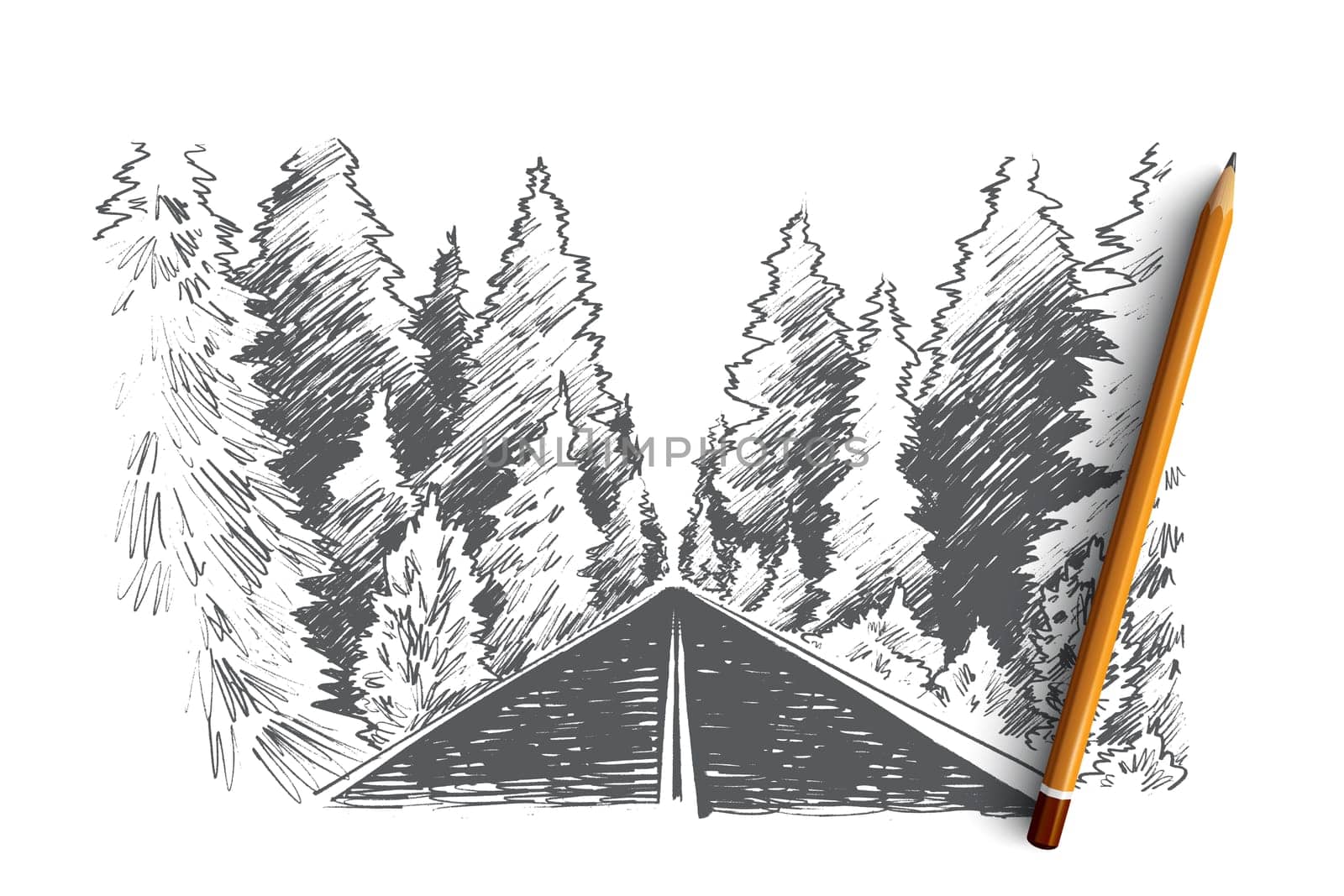 Only forward concept. Hand drawn road and forest, forward movement isolated vector illustration.