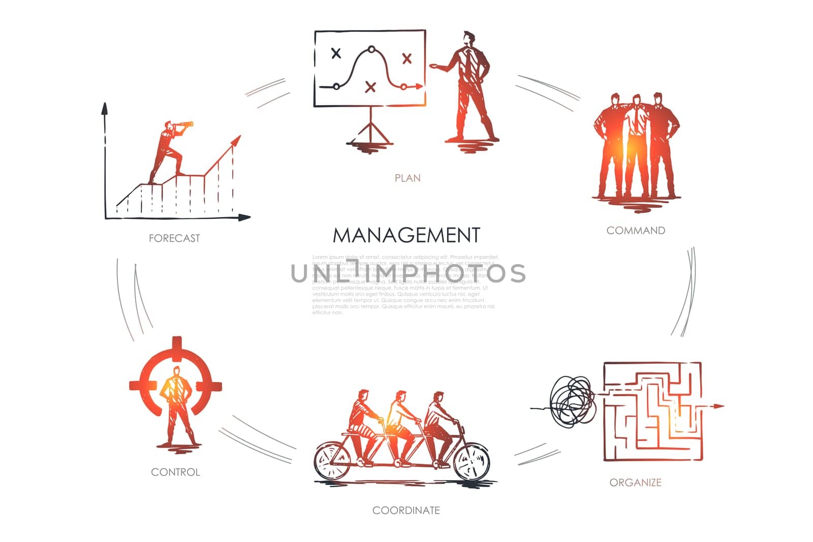 Management, forecast, command, organize, coordinate, control vector set