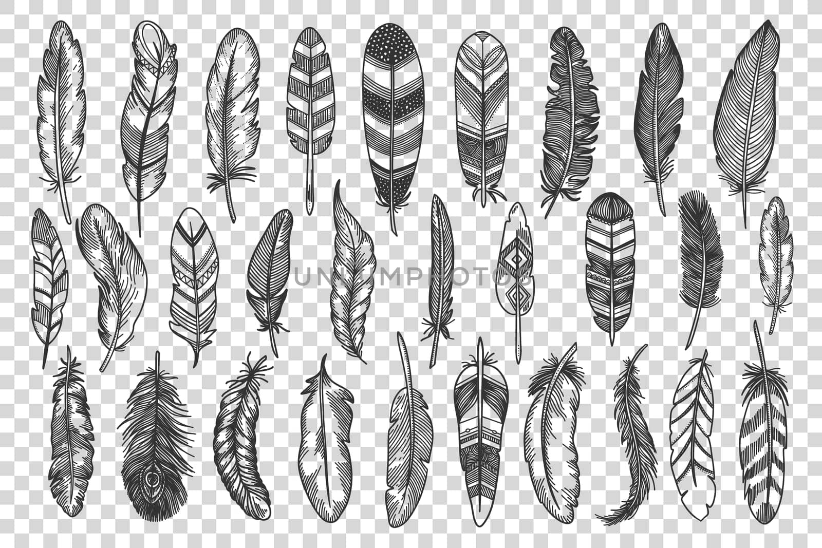 Feathers doodle set. Collection of pencil hand drawn sketche templates patterns of different bird wing part used for fabric and scrapbooking on trasparent background. Ornametal linear illustration.