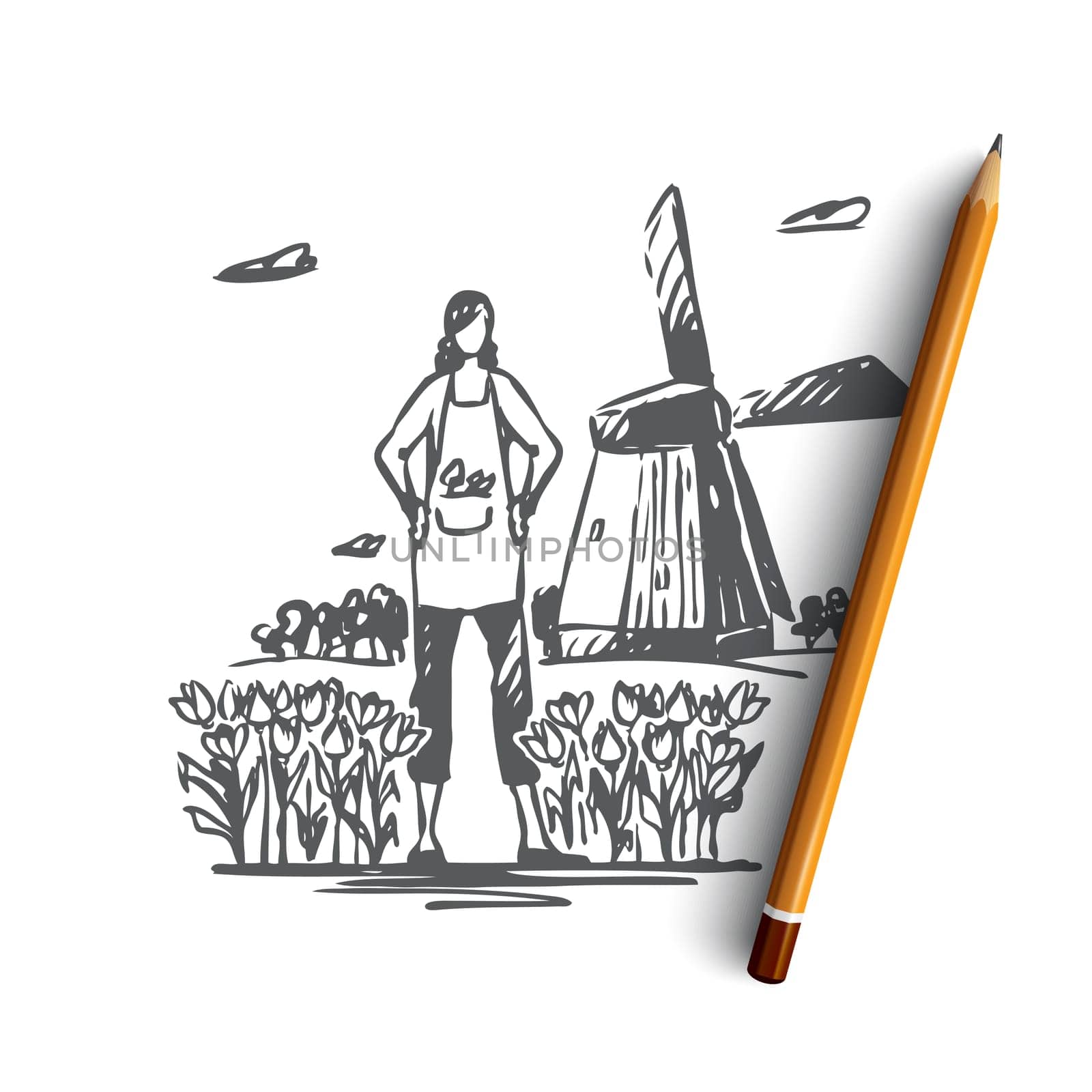 Netherlands, tulips, windmill, travel, symbol concept. Hand drawn windmill and tulips are symbols of Netherlands concept sketch. Isolated vector illustration.