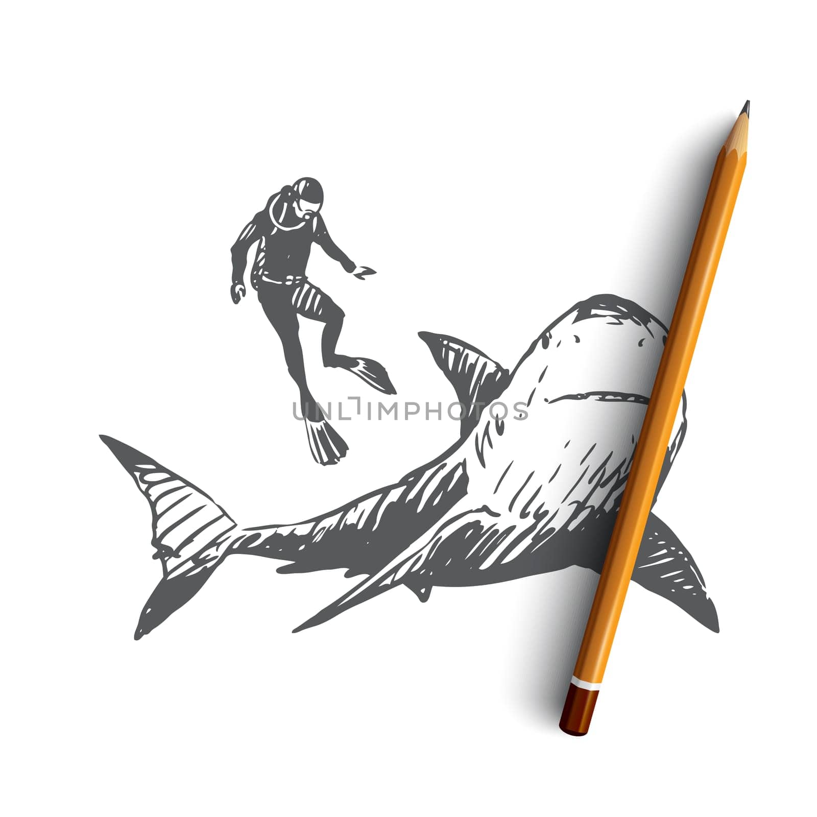 Sea, fauna, shark, swim, underwater, marine concept. Hand drawn studying of marine fauna life. Shark and diver concept sketch. Isolated vector illustration.