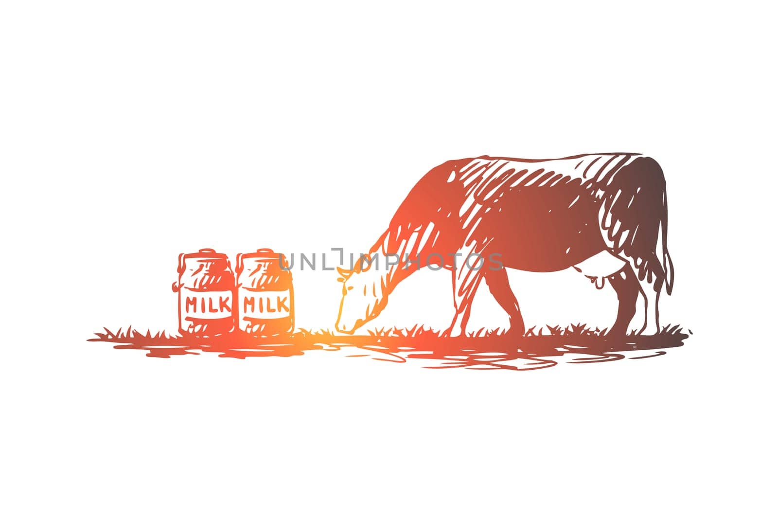 Milk, cow, farm, production, bottle concept. Hand drawn cow and bottles with fresh milk concept sketch. Isolated vector illustration.