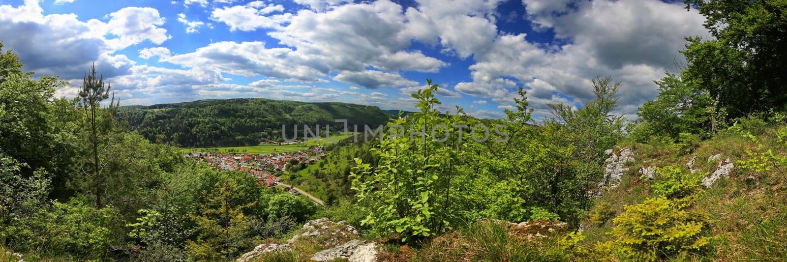 Follow the path to the edge of the forest, then the forest reveals the view