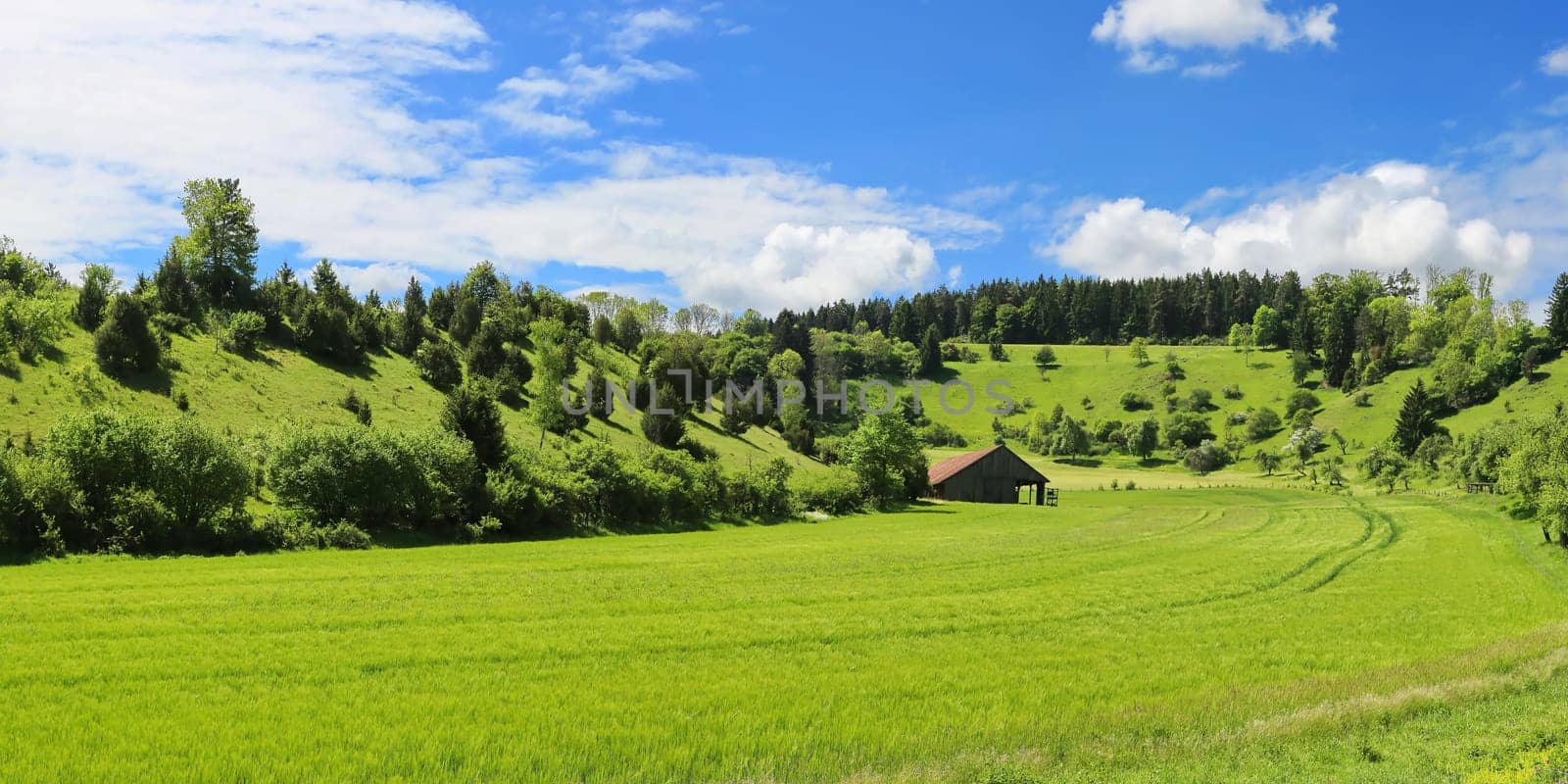 Fields and meadows are enclosed by hills covered with trees