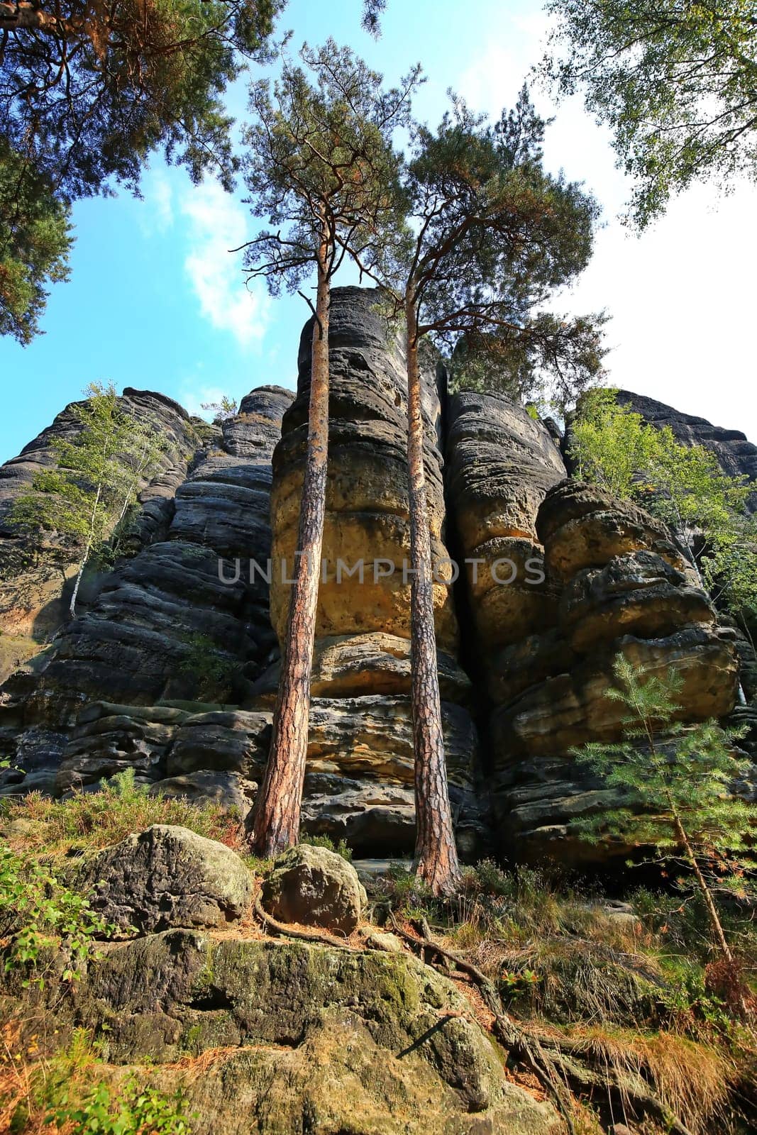 The Pfaffenstein is a unique viewing platform in the Elbe Sandstone Mountains near Königstein