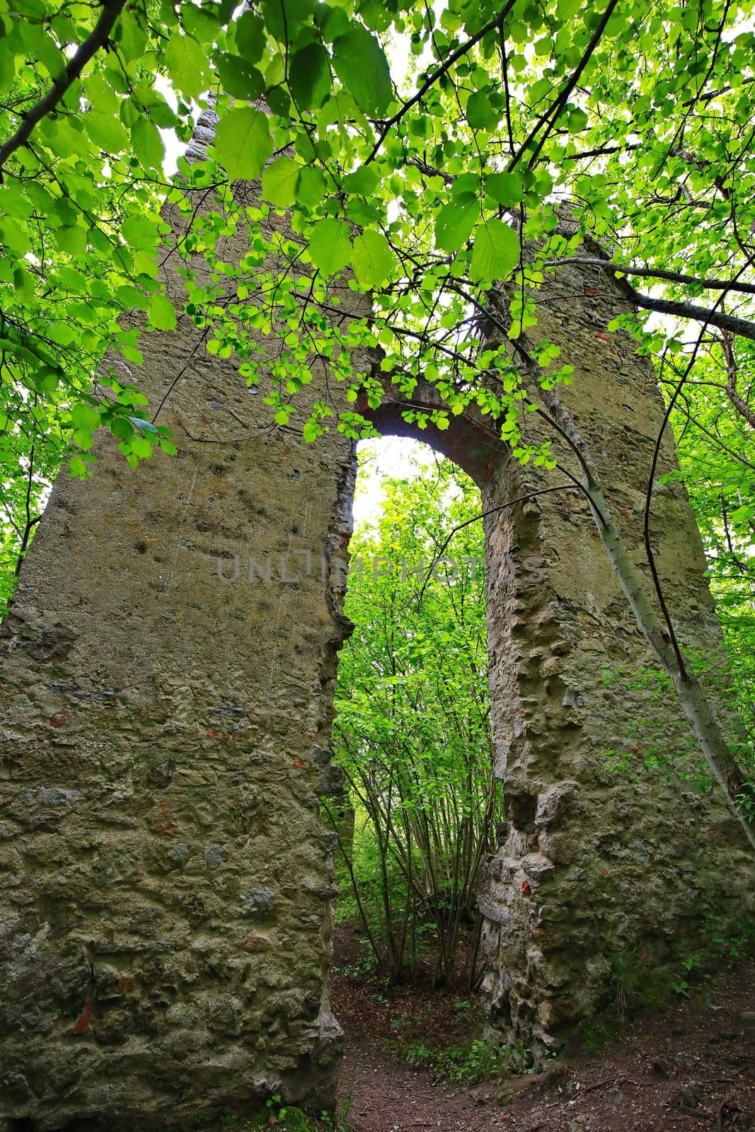 The Neckarburg castle ruins are a sight of the town of Rottweil