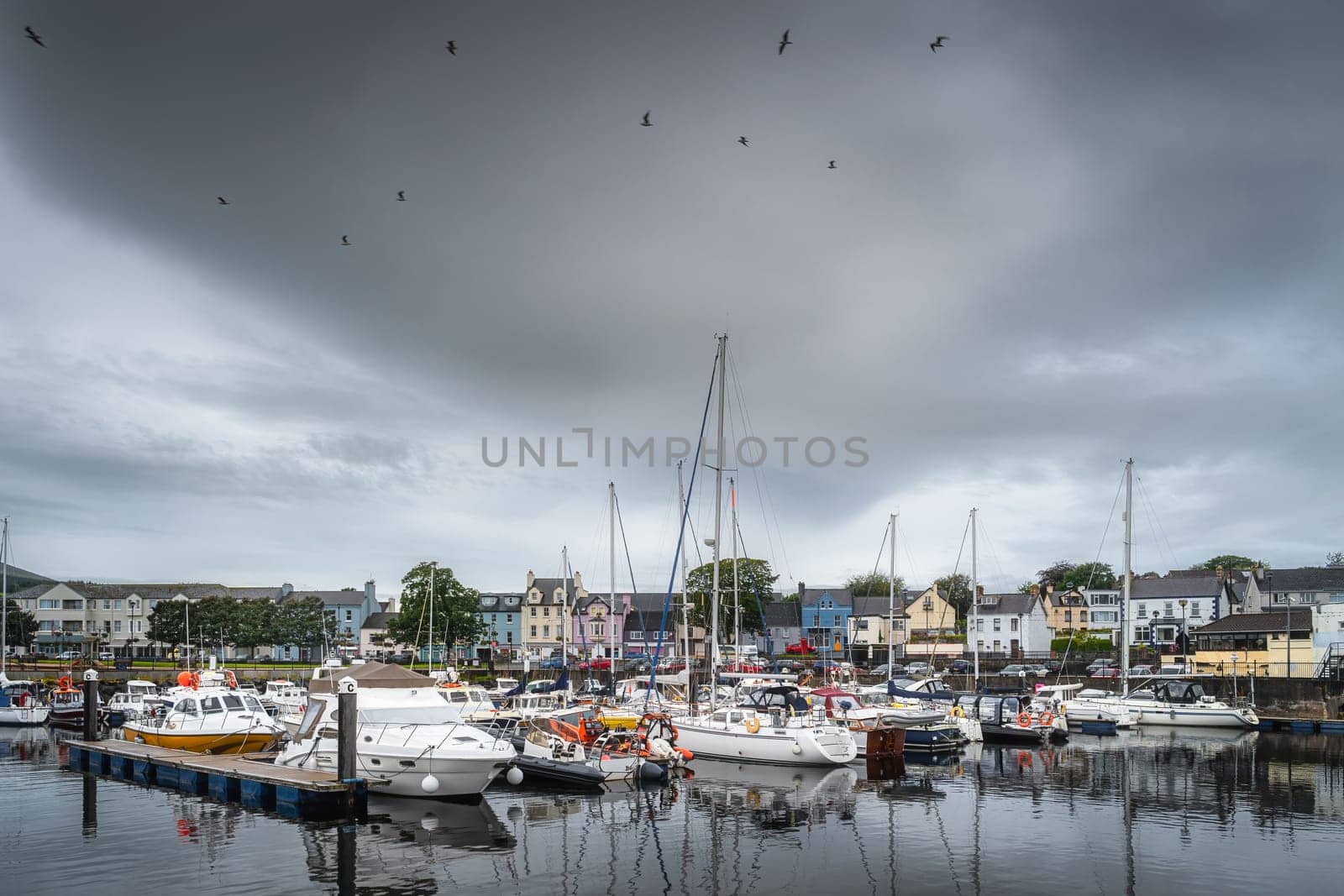 Yachts and sailboats moored in small, beautiful marina in Ballycastle town with birds flying over, Antrim, Northern Ireland