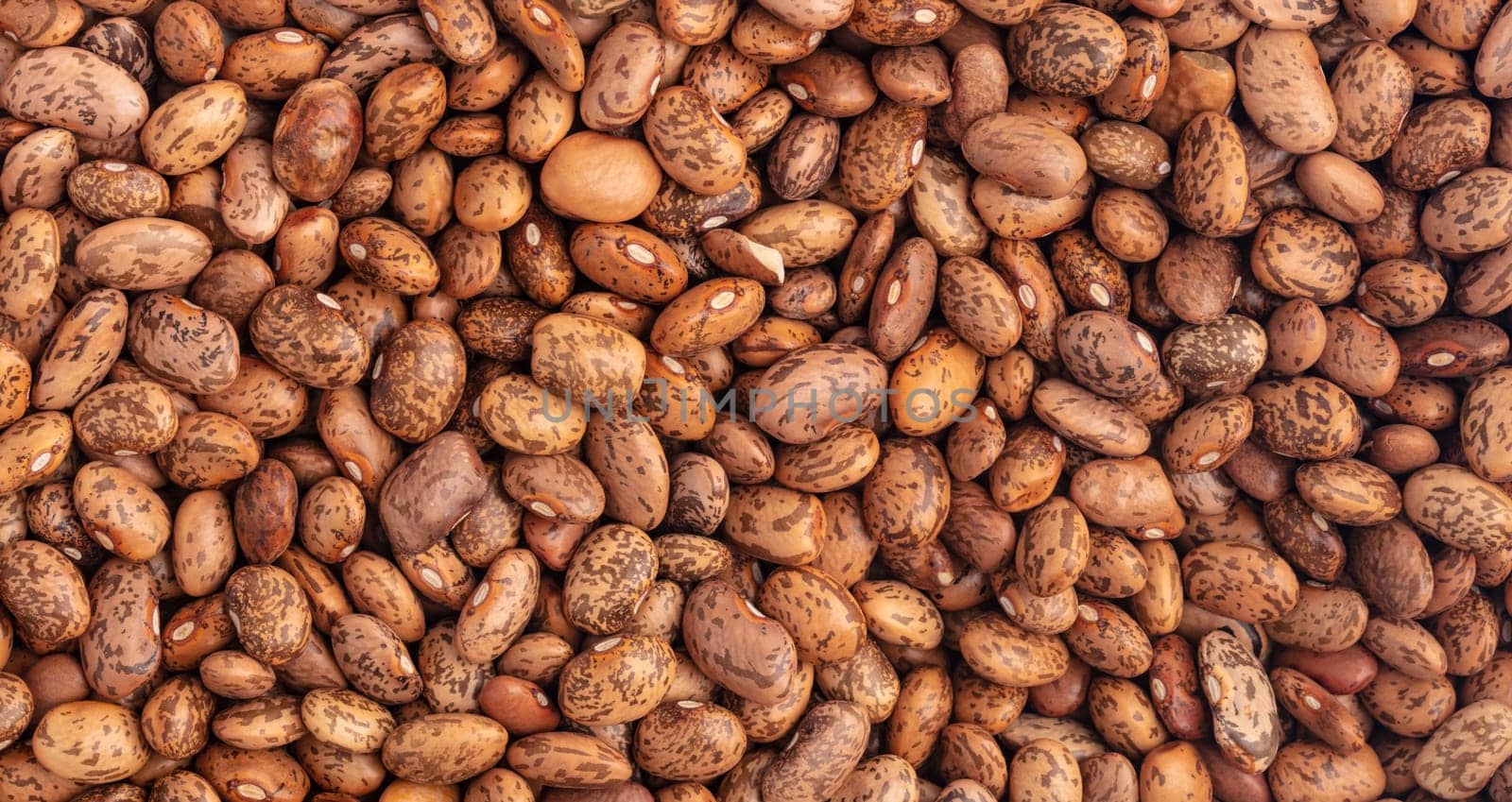 Panorama from Pinto Beans from above full Frame as Background