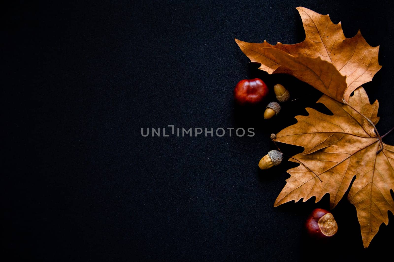 Autumn leaves, chestnuts and acorns lie on a black background. . High quality photo