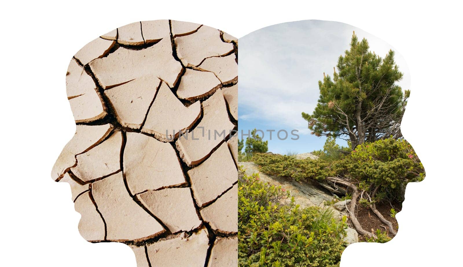 Silhouette of two faces look to the opposite direction, on with green nature the other one with a dry lake bed, climate change, future vision