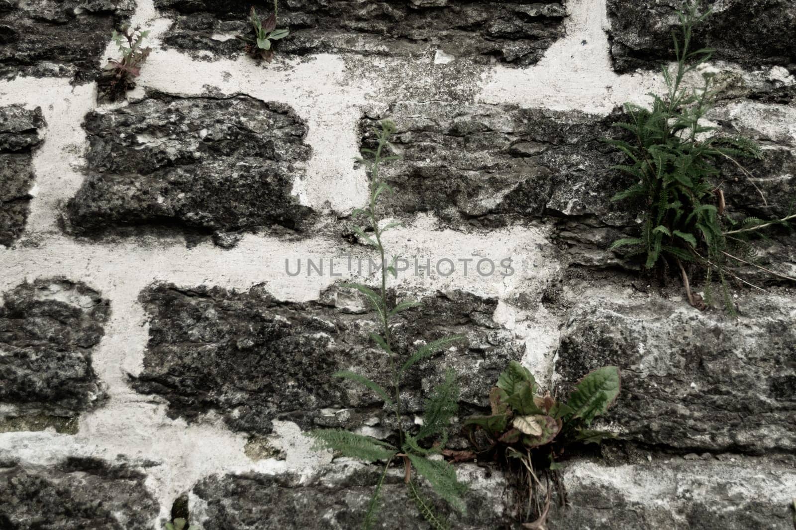 Stone wall background. abstract gray grunge texture. rocky brick wall masonry