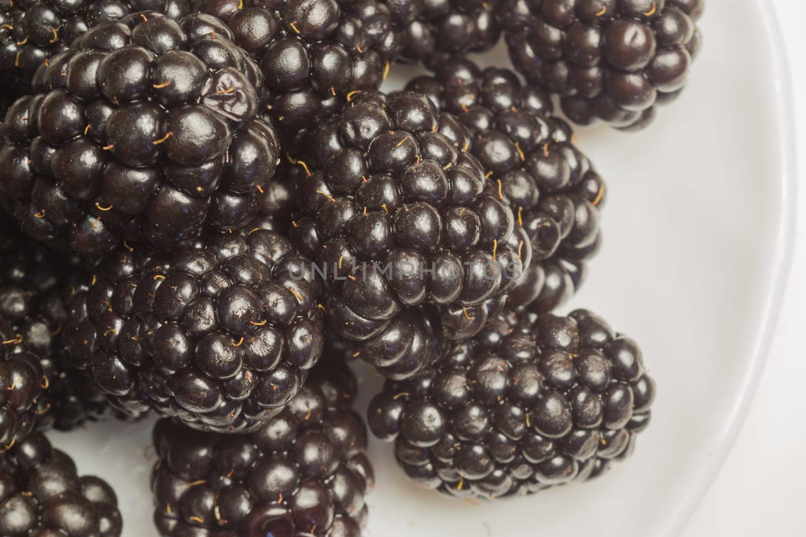 Blackberries on a plate isolated on white background. fresh berries with copy space