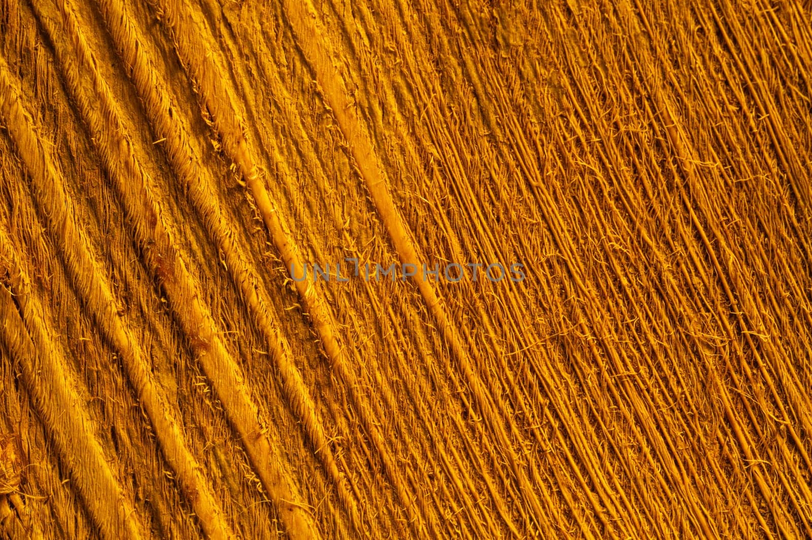 Rough wood macro texture. brown wooden material background