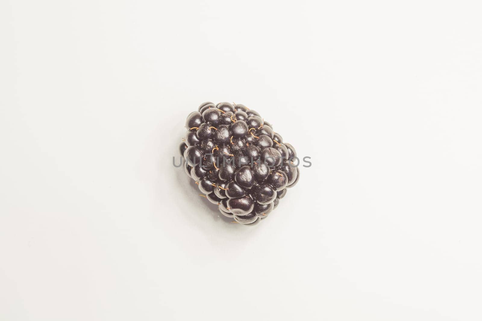 Blackberry isolated on white background. fresh berry with copy space