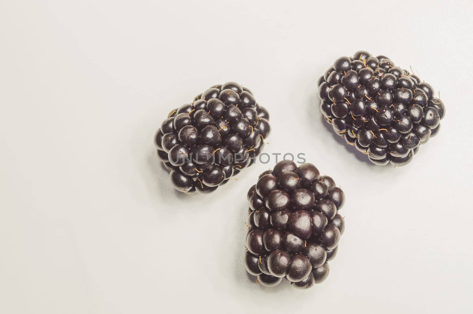 Blackberries isolated on white background. fresh berries with copy space